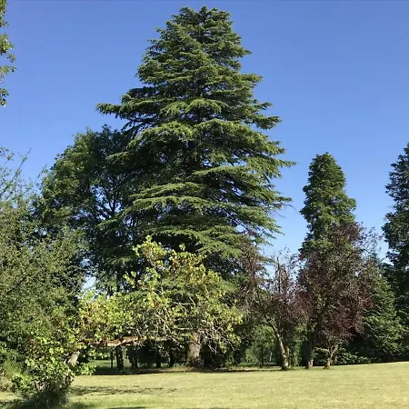 Tatil Evi Grande Maison Renovee Avec Piscine Privee Et Parc, Ideale Pour En Famille En Dordogne - Fr-1-616-216 *